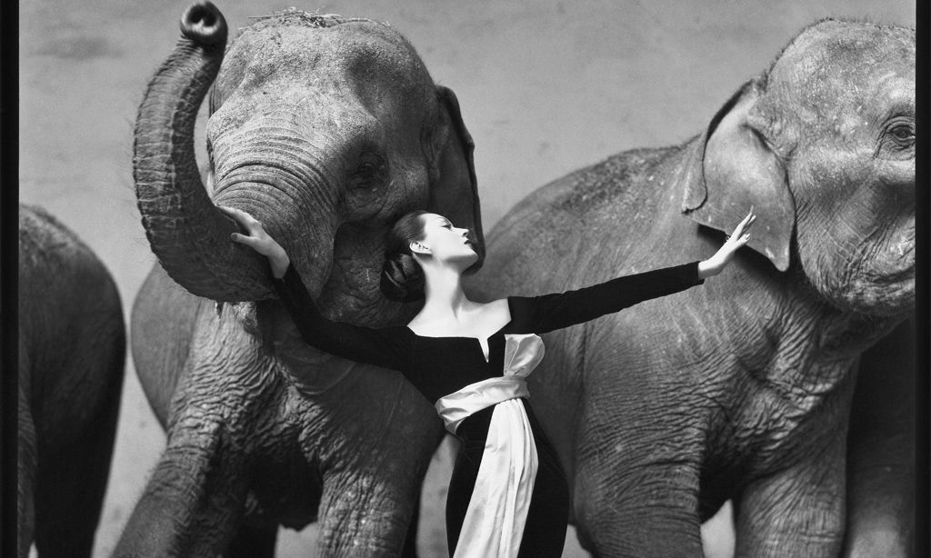 Dovima-with-Elephants-at-Cirque-DHiver-Paris-August-1955_AdobeRGB98_PressKit_1455807013173175